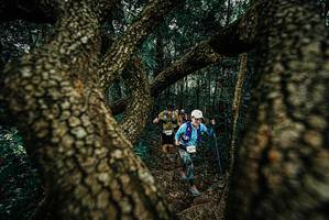 BIB: 
                            <button type="button" onclick="openModal(25698082)" class="btn btn-primary btn-sm float-right btn-popup" data-toggle="modal" data-target=".modal-high-quality">
                        <i class="fas fa-shopping-cart"></i> Add to Cart
                    </button>
                                            <button type="button" onclick="isThisMe(25698082, true)" class="btn btn-success btn-sm float-right btn-popup btn-isme hidden" data-toggle="tooltip" data-placement="bottom" title="นี่คือรูปของคุณใช่ไหม คลิกที่นี่เพื่อเอาเข้าอัลบั้ม">
                        <i class="fas fa-plus"></i> Add to album
                    </button>
                    <button type="button" onclick="isThisMe(25698082, false)" class="btn btn-warning btn-sm float-right btn-popup btn-isnotme hidden">
                        <i class="fas fa-ban"></i> Remove from album
                    </button>